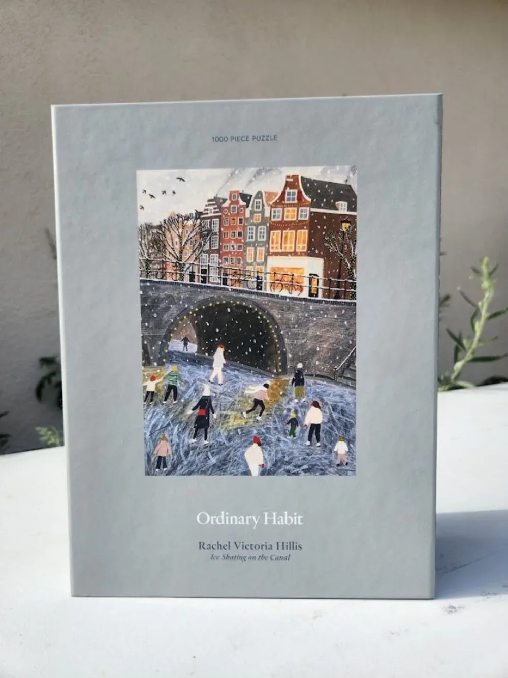 Ice Skating on the Canal 1000 Piece Puzzle Ordinary Habit Rachel Victoria Hillis